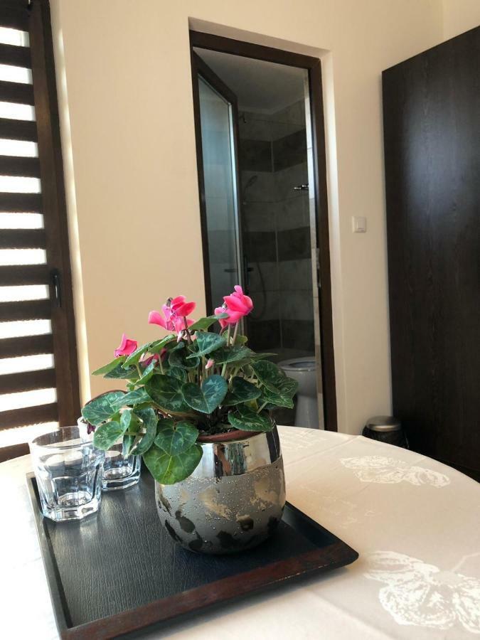 Hotel Eden Blue Costinesti Zewnętrze zdjęcie