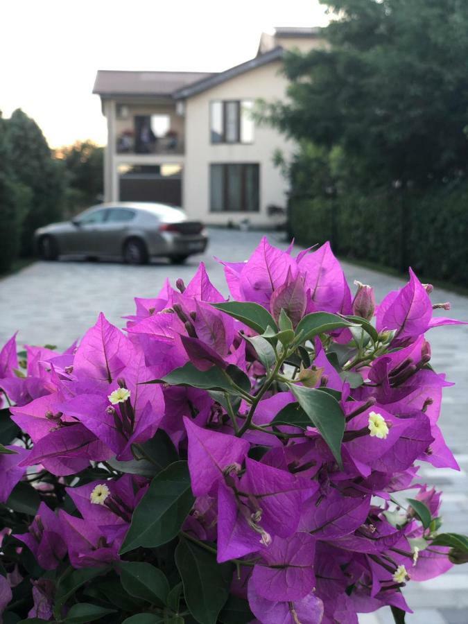 Hotel Eden Blue Costinesti Zewnętrze zdjęcie