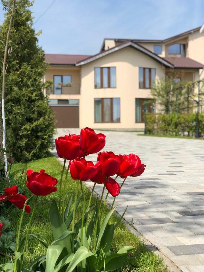 Hotel Eden Blue Costinesti Zewnętrze zdjęcie